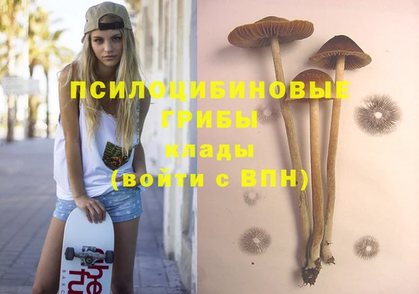 MDMA Богородицк