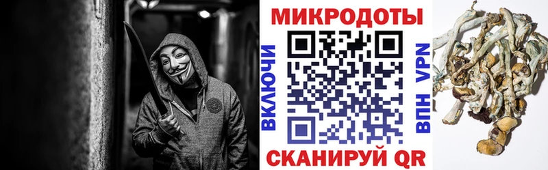 что такое наркотик  MEGA tor  Псилоцибиновые грибы ЛСД  Высоцк 