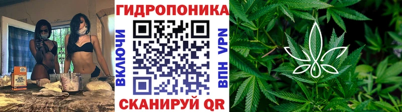 Шишки марихуана тримм Высоцк